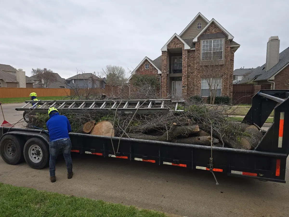 Expert Tree Fertilization with proper safety equipment in Henderson